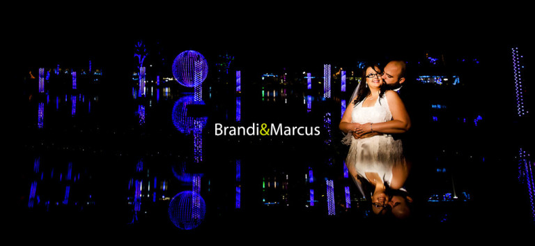 Read more about the article Brandi & Marcus – Wedding at the Phoenix Zoo